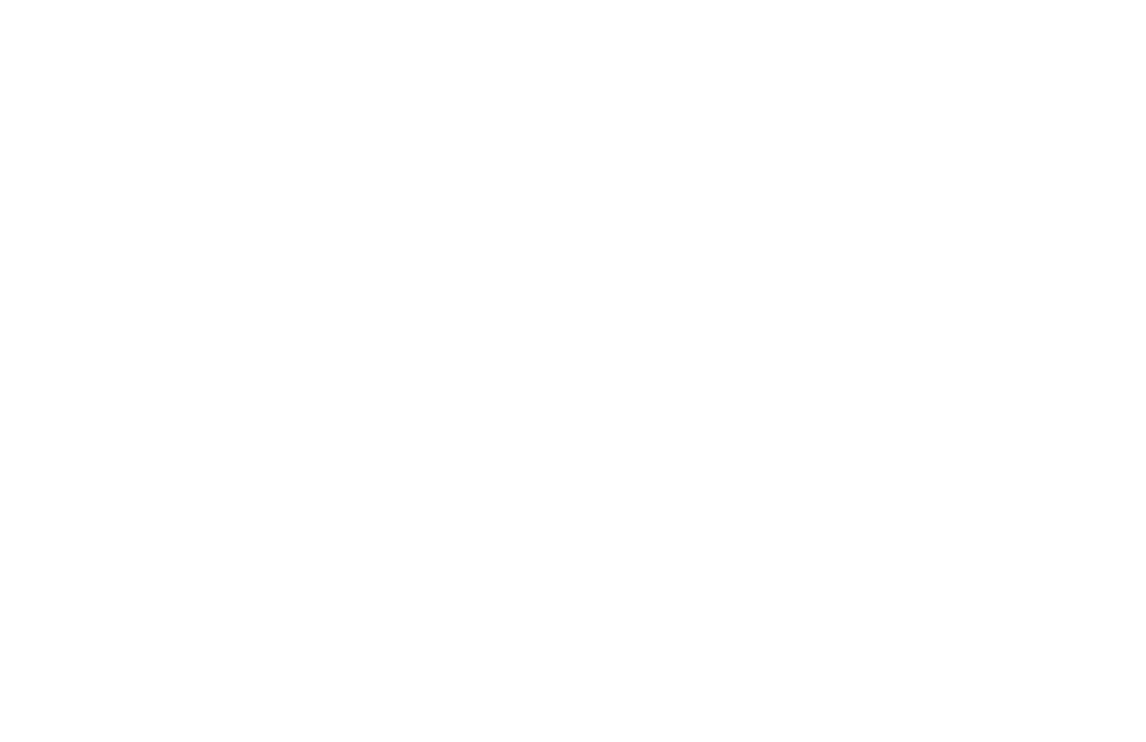 SCHREINER